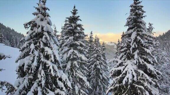 清晨刚下过雪