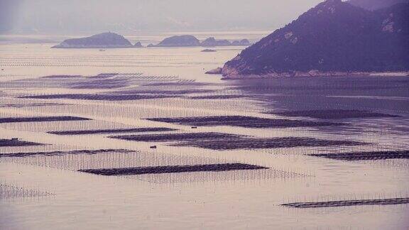 延时拍摄:中国福建霞浦的海藻养殖