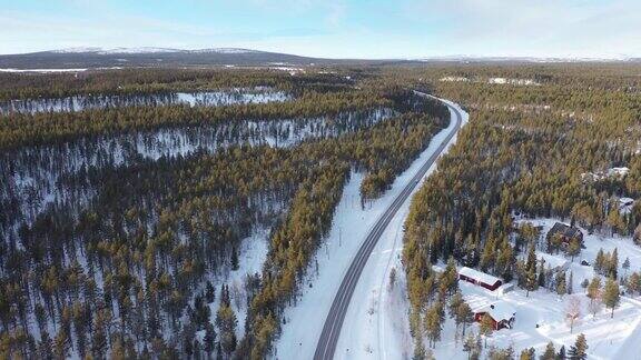 冬季道路穿过一片森林景观
