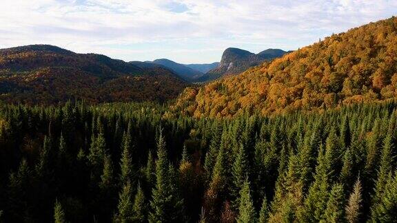 鸟瞰图的北方森林自然在秋天的日出魁北克加拿大