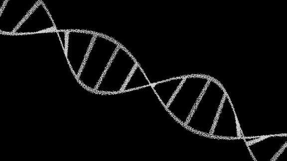 分离的DNA分子在黑色背景简单脱氧核糖核酸双螺旋结构在暗空间旋转