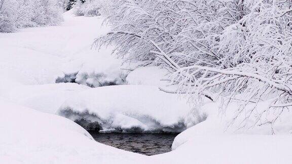 雪落在狼溪科罗拉多州