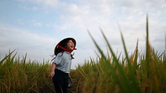 一个亚洲的中国女孩花闲暇时间在稻田在周末早上看相机