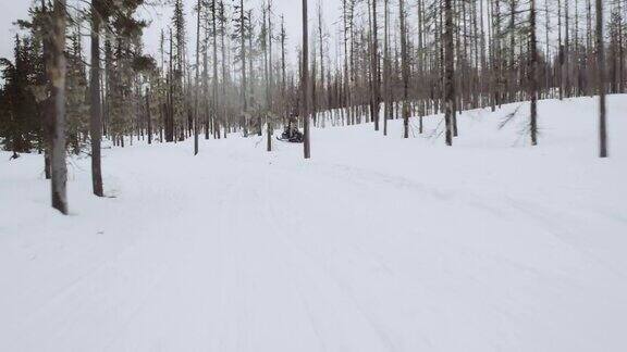 雪地摩托在树林中穿梭