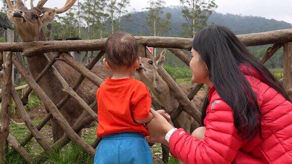 亚洲母亲抱着她的孩子在鹿场喂鹿