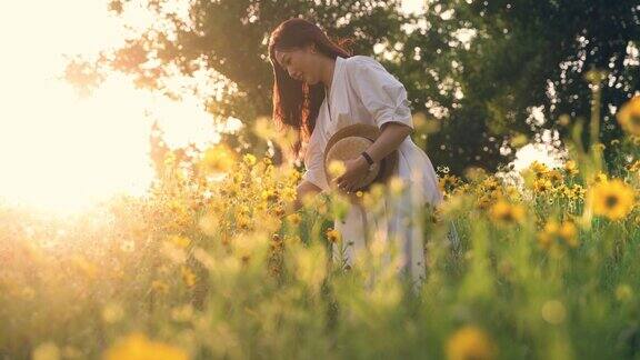 美丽的年轻女子在夕阳下的黄花草地上穿着白衣
