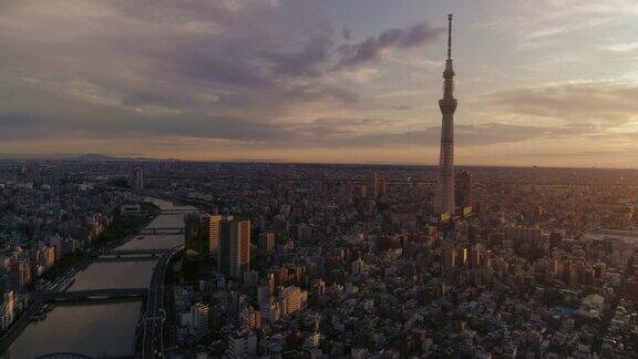 空中的东京城市景观在黎明日本
