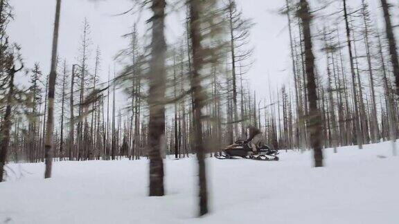 雪地摩托在树林中穿梭