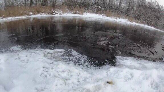 欧亚水獭(LutraLutra)水下冬季行动相机白俄罗斯