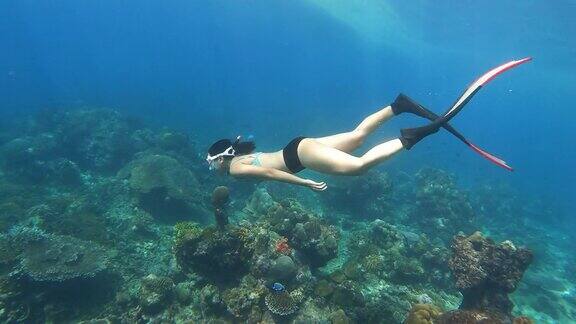 4K年轻女子自由潜水穿着比基尼和长鳍潜水在清澈的水珊瑚礁在海洋