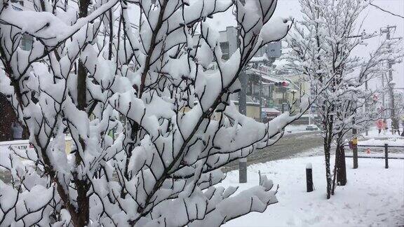 暴风雪