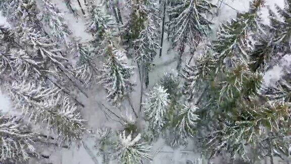 山上冬季滑雪胜地的鸟瞰图