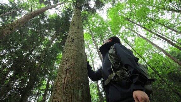 男子徒步在野生森林触摸树枝