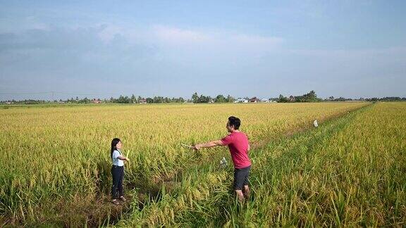 一个亚洲中国年轻女孩有一个有趣的周末在稻田与吹泡沫在早上与她的父亲