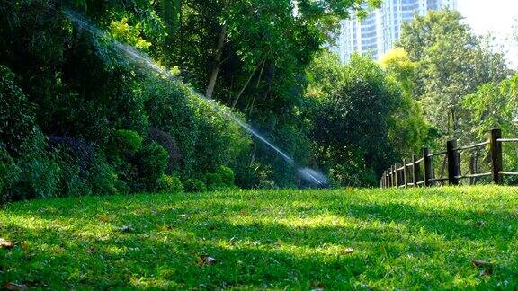 灌溉系统在绿色草地上浇水