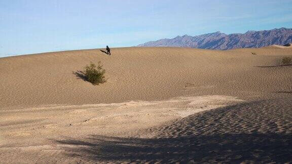 在加州死亡谷梅斯奎特平原的沙丘上徒步旅行的妇女