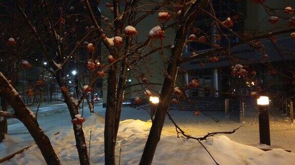 街景雪照明