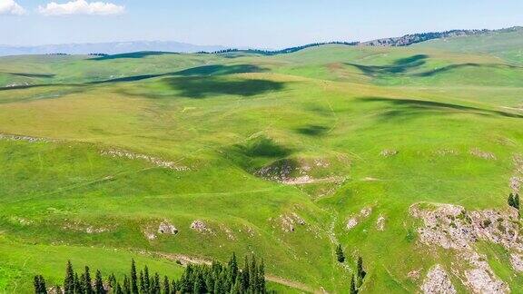 新疆的绿色草原和山地景观