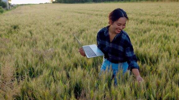 现代农业技术女商人手里拿着平板电脑在麦田里劳作检查粮食收成