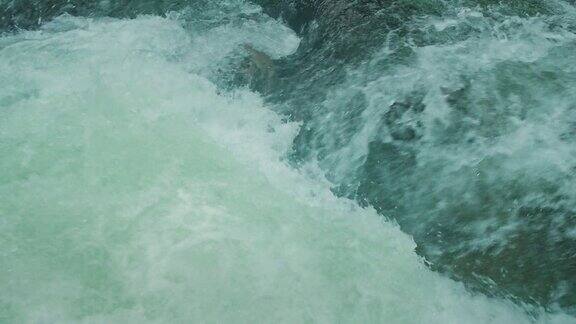 强大的激流瀑布从岩石边缘猛烈落下清澈的冰川水流急流特写