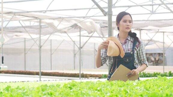 开朗的年轻迷人的亚洲女士农民收获绿色橡树从水培蔬菜农场在温室花园早上