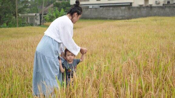 一对母子在稻田里