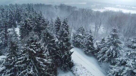 鸟瞰冬日公园里积雪覆盖的小路