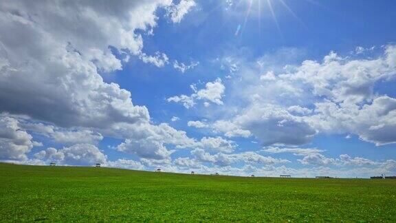 碧绿的草原和蓝天白云的自然景观