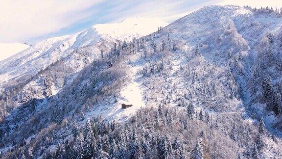 雪林中的独屋