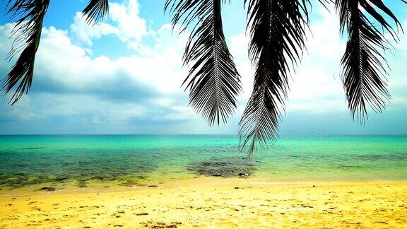 天堂岛上美丽的海滩和大海还有椰子树