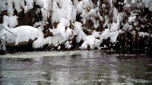被雪覆盖的河岸