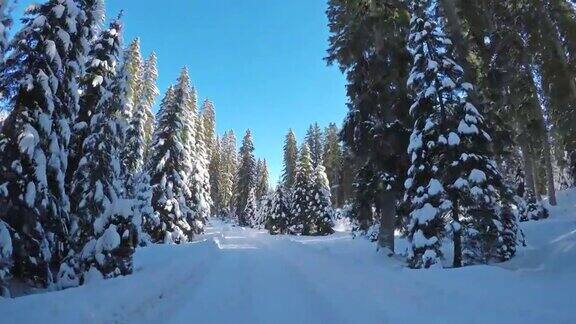 驾车穿过冰雪覆盖的森林在冬天的景观