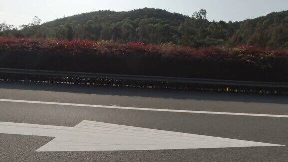 高速公路绿化带红叶点缀