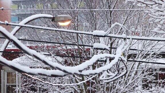 黎明时分暴风雪中蒙特利尔罗斯蒙特地区的电线上飘落着雪花
