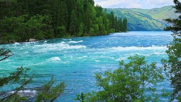 新疆流动的河流和森林自然景观