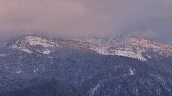 阿尔泰自然保护区初雪