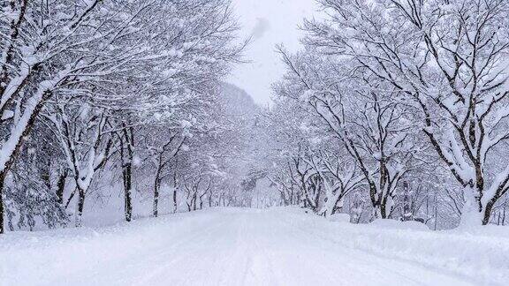冬天的路上下雪/冰雪天气