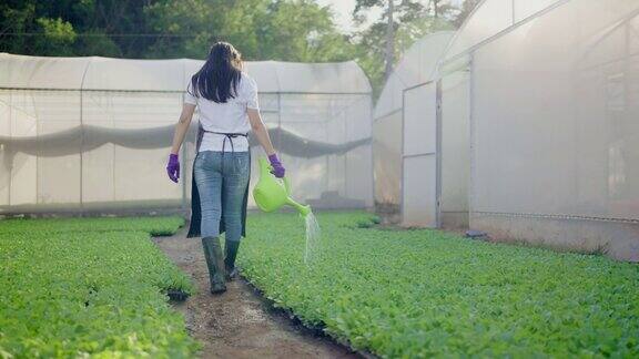 女农民在蔬菜农场散步