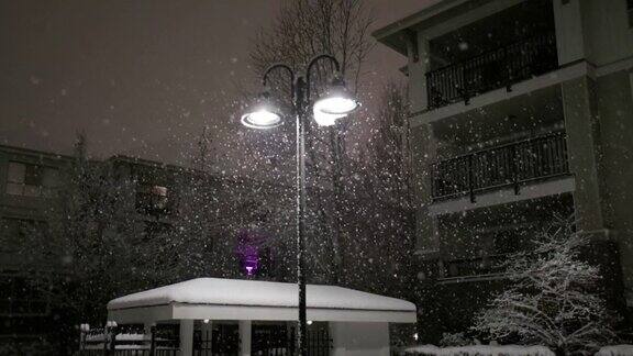 宁静的夜晚降雪
