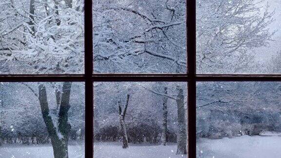 从白雪覆盖的森林的旧窗户看过去