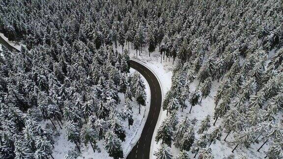 穿过白雪覆盖的森林