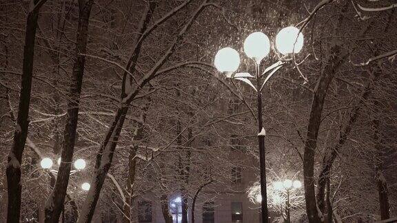 圣诞节的天气白雪覆盖着树枝雪花纷飞夜晚的城市景观