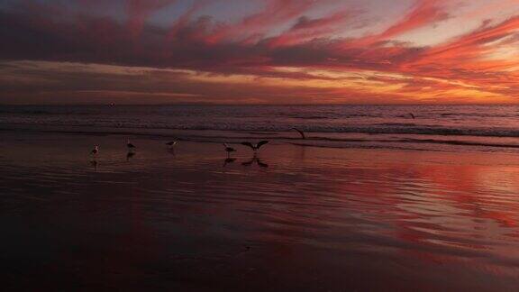 加州夏日海滩美学金色日落太平洋波浪上生动的云彩圣塔莫尼卡著名的度假胜地美国洛杉矶大气穆迪紫色傍晚日落在洛杉矶