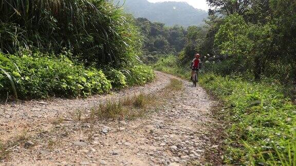 在阳光明媚的日子里一名女子骑着山地车在岩石小道上骑行慢镜头