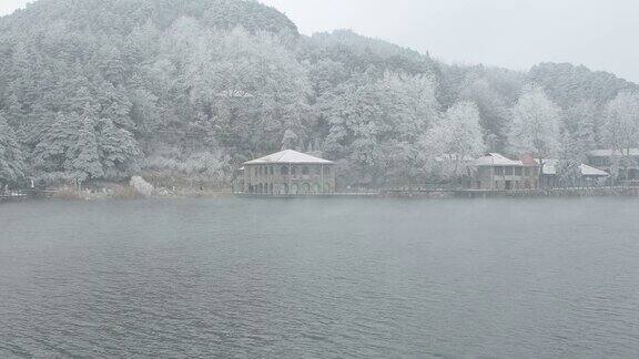 冬季雾凇湖