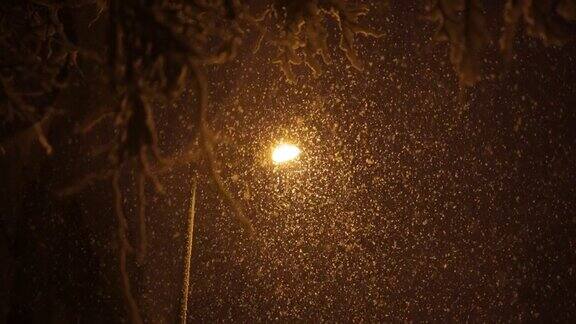 夜里的雪落在路灯上