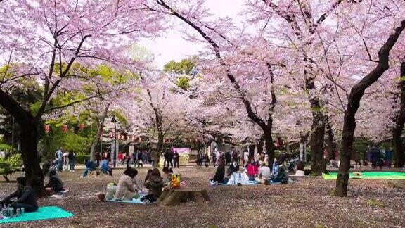 游客在樱花花园