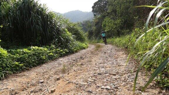 在阳光明媚的日子里一名女子骑着山地车在岩石小道上骑行慢镜头