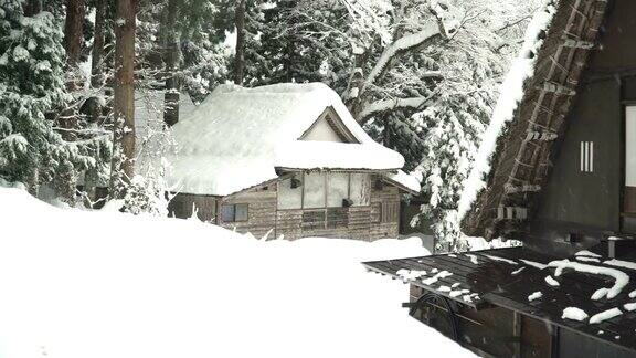 日本的房子属于白川村松树林