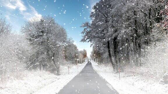 道路穿过有雪和雾的森林